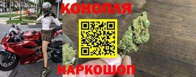 шишки Заводоуковск