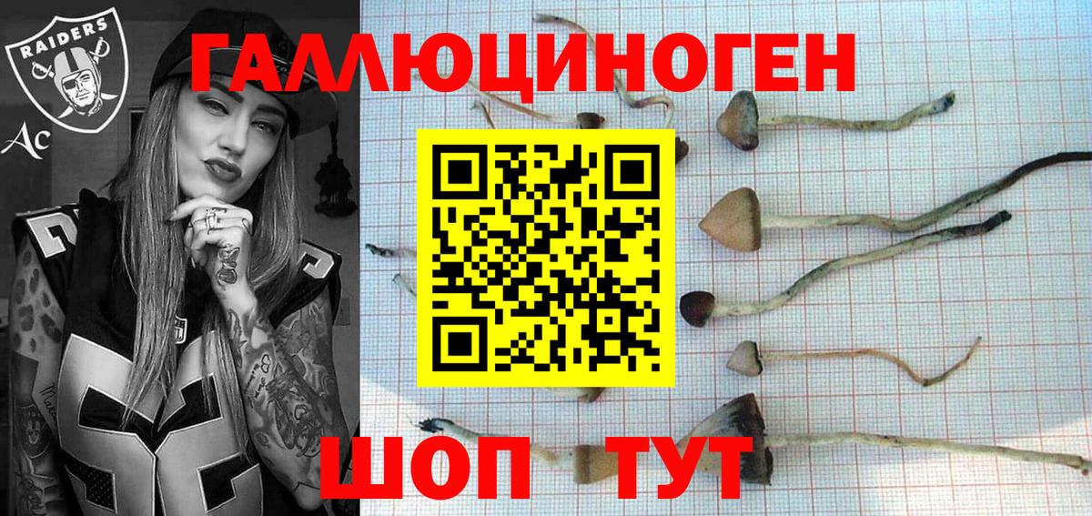 Галлюциногенные грибы Magic Shrooms  дарнет шоп  Куйбышев  Вход с VPN 